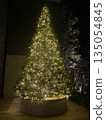 聖誕樹 135054845