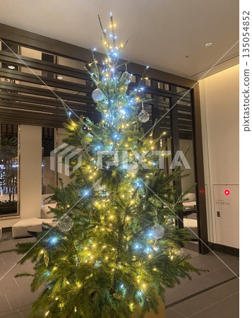 聖誕樹 135054852