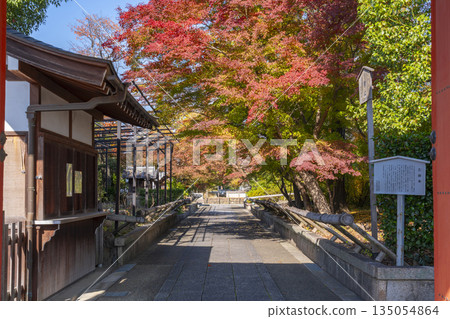大德國寺秋季賞楓季 135054864