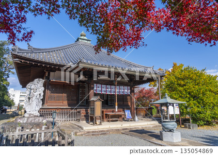 Otokuniji Temple Main Hall Autumn Leaves Season Otokuniji Temple Main Hall Autumn Leaves Season 135054869
