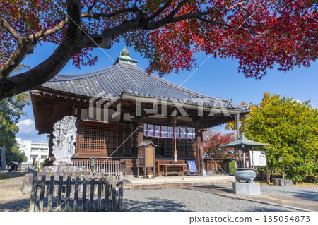 Otokuniji Temple Main Hall Autumn Leaves Season Otokuniji Temple Main Hall Autumn Leaves Season 135054873