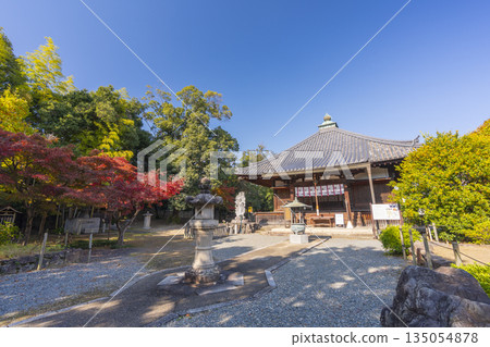 Otokuniji Temple Main Hall Autumn Leaves Season Otokuniji Temple Main Hall Autumn Leaves Season 135054878
