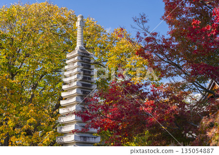 Otokuniji Temple Thirteen-story Stone Pagoda Autumn Foliage Season Otokuniji Temple Thirteen-story Stone Pagoda Autumn Foliage Season 135054887