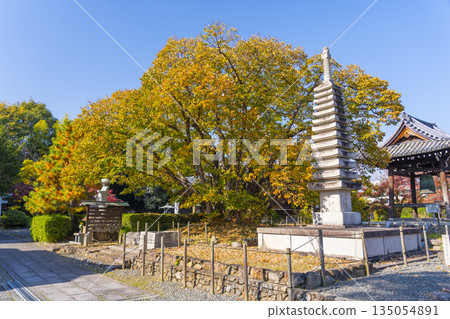 Otokuniji Temple Thirteen-story Stone Pagoda Autumn Foliage Season Otokuniji Temple Thirteen-story Stone Pagoda Autumn Foliage Season 135054891