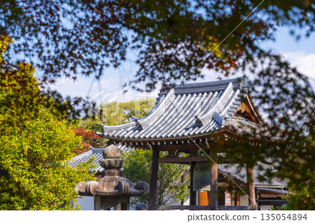 大德國寺鐘樓秋葉季 135054894