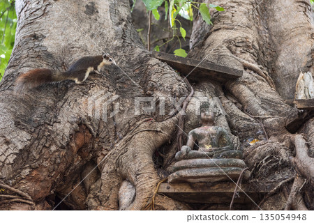 THAILAND PHITSANULOK WAT RATCHABURANA THAILAND PHITSANULOK WAT RATCHABURANA 135054948