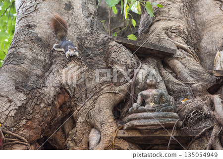 THAILAND PHITSANULOK WAT RATCHABURANA 135054949