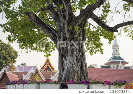 THAILAND PHITSANULOK WAT PHRA SI RATTANA MAHATHAT 135055274