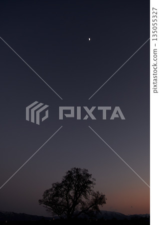 A crescent moon and the silhouette of a large tree floating in the quiet night sky A crescent moon and the silhouette of a large tree floating in the quiet night sky 135055327