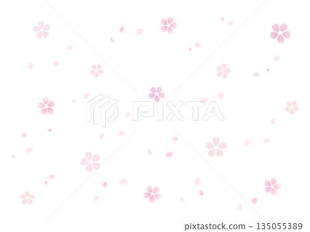 Simple cherry blossom background material 135055389
