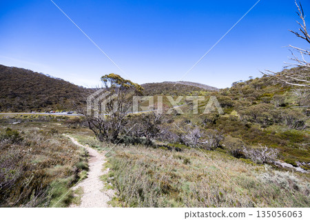 Dead Horse Gap Walking Track in Australia 135056063