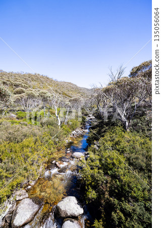Dead Horse Gap Walking Track in Australia Dead Horse Gap Walking Track in Australia 135056064