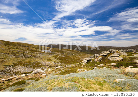 Blue Lake Walking Track in Australia 135056126
