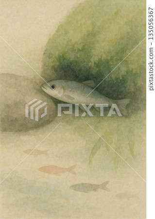 小魚系列：寧靜的日式背景，小魚藏身於岩石和苔蘚之間。 135056367