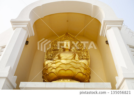 Golden Statue Of Lord Buddha At World Peace Pagoda (Also Called Nipponzan Peace Pagoda) In Lumbini, Nepal. 135056821