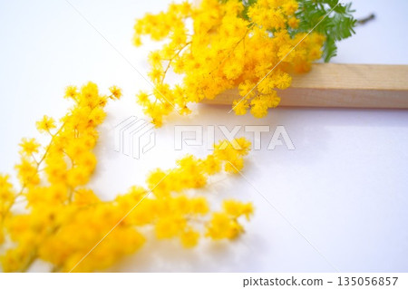 含羞草安排 135056857