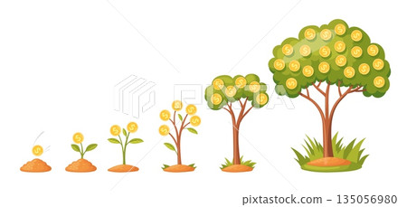 Money tree growth. Grow money trees periods, investment process stages cash revenue finance economic gold coins success business invest benefits cartoon neat vector illustration Money tree growth. Grow money trees periods, investment process stages cash revenue finance economic gold coins success business invest benefits cartoon neat vector illustration 135056980