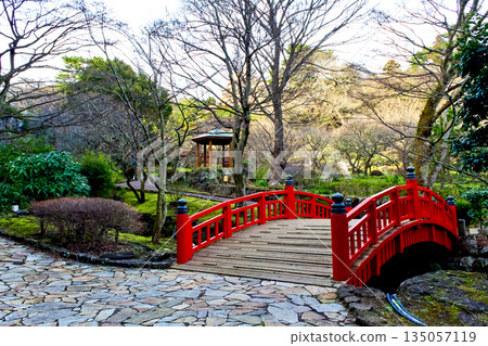 [Shizuoka] Atami Plum Garden in Winter - Red Bridge Over Hatsukawa River 135057119