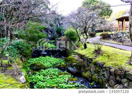 【靜岡】冬日熱海梅園:從初川紅橋眺望 【靜岡】冬日熱海梅園:從初川紅橋眺望 135057120