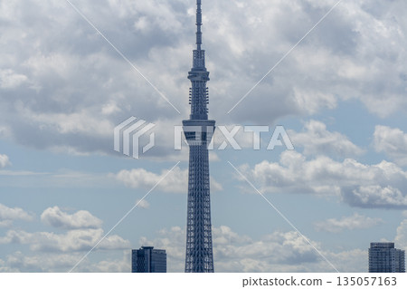 城市景觀 135057163