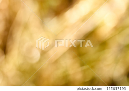 柔焦抽象背景，靈感來自秋日光線 135057193
