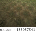 Imaginatory fractal abstract background Image 135057541