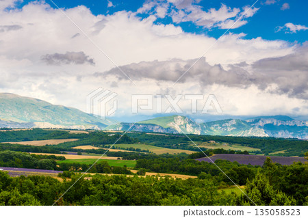 Provence landscape with lavender fields, France Provence landscape with lavender fields, France 135058523