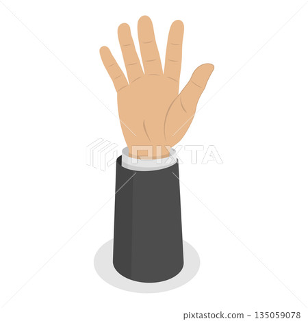 3D Isometric Flat  Set of Human Hands Gestures. Item 1 135059078