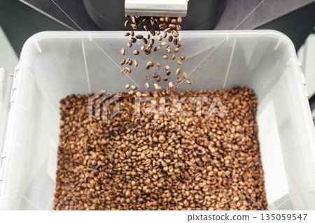 Freshly Roasted Coffee Beans Falling Into Large Container at Roasting Facility During Daytime Operations Freshly Roasted Coffee Beans Falling Into Large Container at Roasting Facility During Daytime Operations 135059547