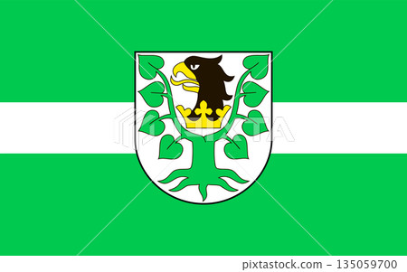 The flag of Oletsky The flag of Oletsky 135059700