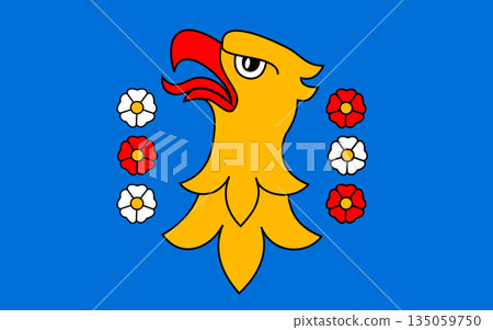 Flag of Pshchyna County 135059750