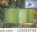 Aerial view of green fields and crops in the daytime 135059798