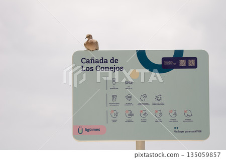 Collared dove on an information sign. 135059857