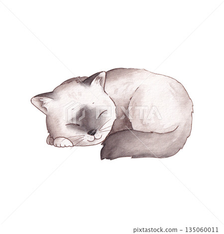 Cute sleeping birman cat isolated on white background. Watercolor hand drawn illustration Cute sleeping birman cat isolated on white background. Watercolor hand drawn illustration 135060011