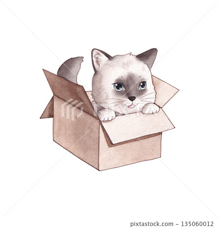Watercolor illustration of kitten sitting in a box isolated on white background. 135060012