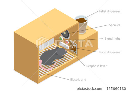 3D Isometric Flat  Illustration of Skinner Box, Laboratory Chamber for Animals 135060180