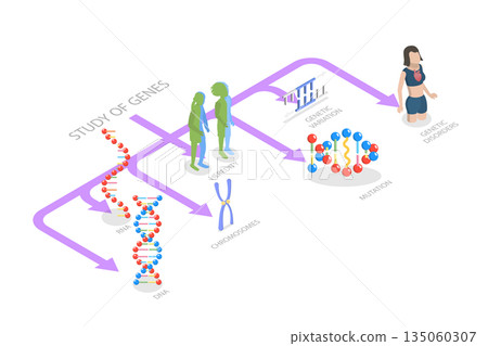 3D Isometric Flat Illustration of Genetics And Gene Learning, Diagram Outlining Various Genetic And Gene Learning Subjects Within The Field Of Genetics. 3D Isometric Flat Illustration of Genetics And Gene Learning, Diagram Outlining Various Genetic And Gene Learning Subjects Within The Field Of Genetics. 135060307