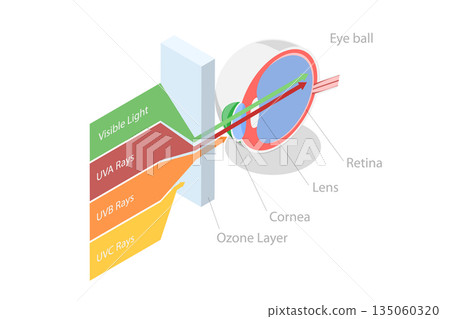 3D Isometric Flat Illustration of Sun Light Electromagnetic Spectrum, UV Rays And Visible Light 3D Isometric Flat Illustration of Sun Light Electromagnetic Spectrum, UV Rays And Visible Light 135060320