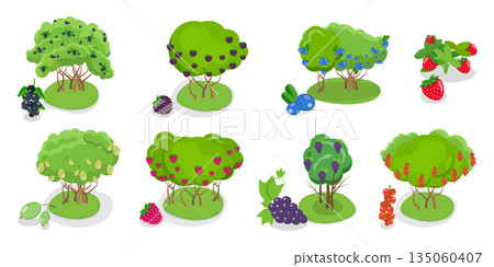 3D Isometric Flat  Illustration of Organic Fruits and Berries , Collection Of Shrubs Perfect For Gardens And Landscaping 135060407