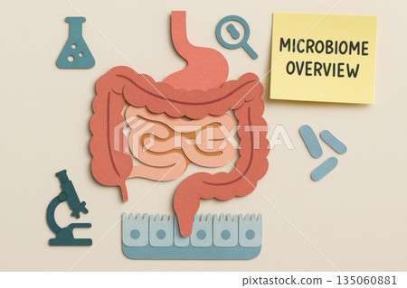 Paper cut science diagram providing friendly microbiome overview of gut. Minimal icons and sticky note text create an informative professional look for digestive health 135060881