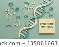 Calm epigenetic switch illustration of dna helix in papercut style. This science and biology concept shows chemical modification for research. clear and informative design 135061663