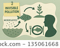 Environmental diagram showing invisible pollution and microplastic contamination. food chain process with water and its concerning health impact for human consumption 135061668