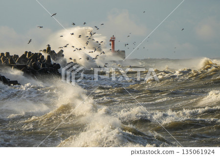 Fierce Baltic Sea storm crashing at Liepaja harbor gate breakwater with waves and flying seabirds 135061924