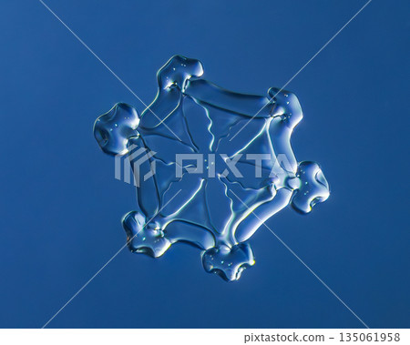 Natural snowflake crystal in blue background 135061958