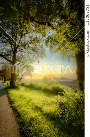 A Serene Sunset Along the Pathway, Nestled Deeply in Natures Warm Embrace and Stunning Beauty 135062751