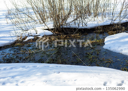 Stream flowing through a snow-covered field among bushes and trees at sunset. Stream under the snow 135062990