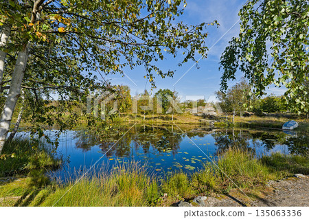 A freshwater lake on the skerry island Asperoe 135063336