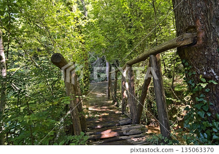 Bridge crossing the Skra Waterfall in Greece Bridge crossing the Skra Waterfall in Greece 135063370