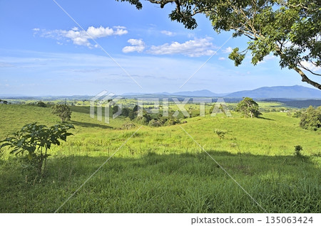 Australian Farmland during summer in Queensland and hills in the background 135063424