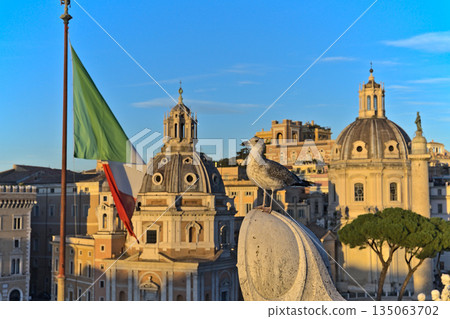 View at the Basilica Ulpia from Altare della Patria View at the Basilica Ulpia from Altare della Patria 135063702